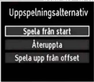 Uppspelningsalternativ Spela från start Återuppta Spela upp från offset