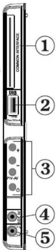 COMMON INTERFACE USB 300 Max.50mA + - PV-AV SIDE-AV 1 2 3 4 5