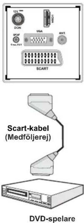12V DCIN SPDF COSI,OUT VGA HMO1 AXT SCART Scart-kabel (Medföljerej) DVD-spelare