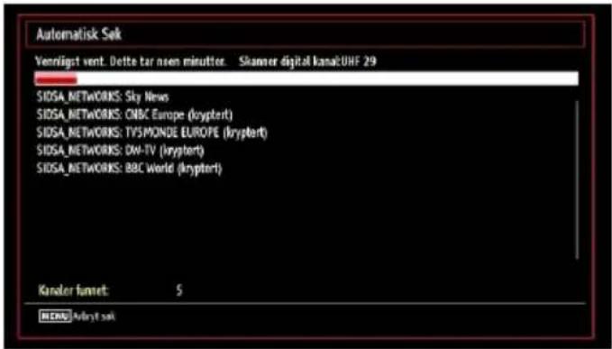 Automatisk Sek Verrägelt vent: Dette tar noen minutter. Skinner digital kanal:UHF 29 SIDSA_NETWORKS: Sky News SIDSA_NETWORKS: CNBC Europe (kryptert) SIDSA_NETWORKS: TV5MXONDE EUROPE (kryptert) SIDSA_NETWORKS: DH-TV (kryptert) SIDSA_NETWORKS: BBC World (kryptert) Kanaler funet: 5 MENU/kaner sek