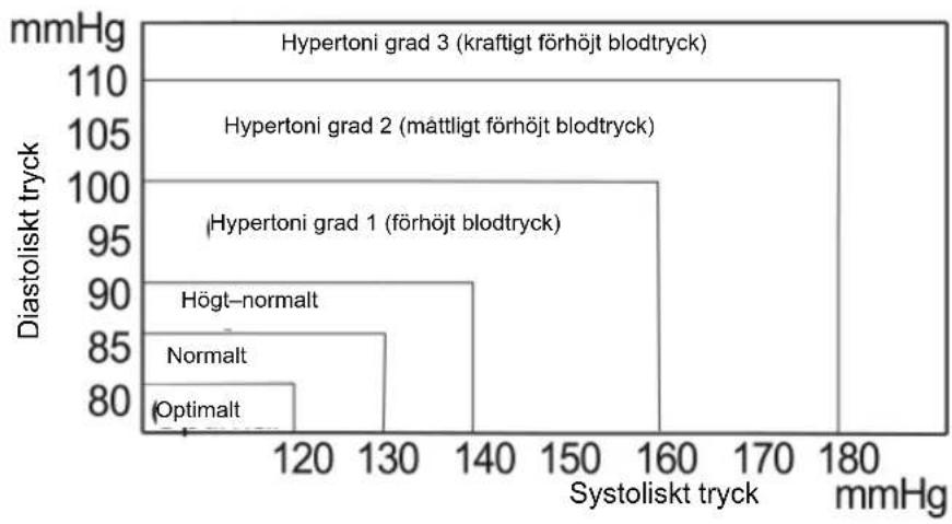 Marquant 880-137 - Blodtrycksvariationer - 1