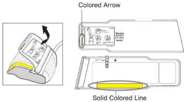 Colored Arrow Solid Colored Line
