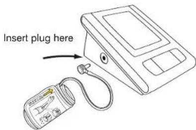 Insert plug here