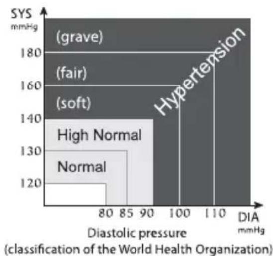 Little Doctor LD-80 - RECOMMENDATIONS ON CORRECT MEASUREMENTS - 2