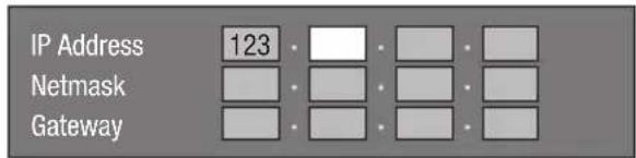IP Address 123 Netmask Gateway