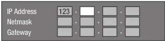 IP Address 123 Netmask Gateway