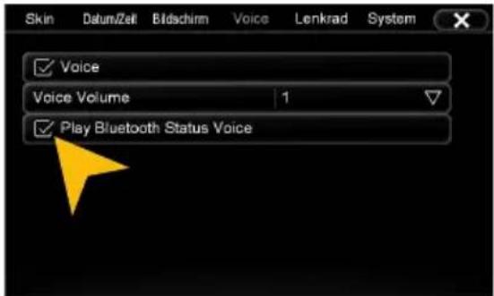 ESX VN630W - Optionen - 24