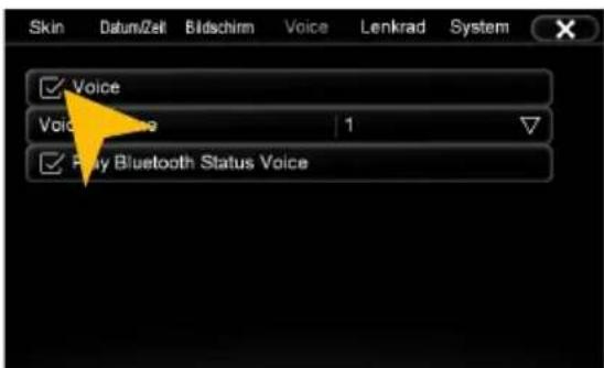 ESX VN630W - Optionen - 21