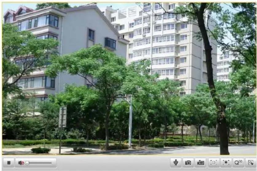 Hikvision DS-2DF5274-AE3 - Starng Live View - 1