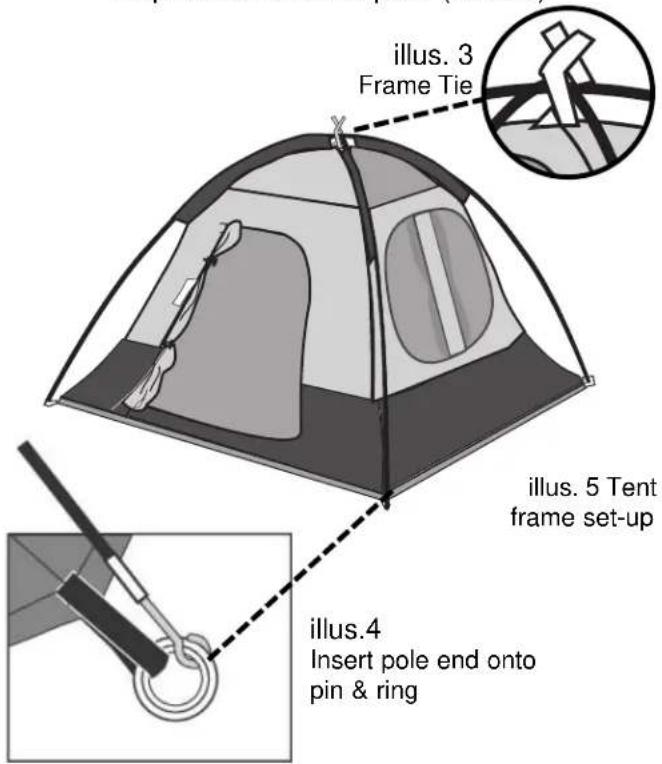 COLEMAN Sundome 12x10 - Connect Frame to Tent -Insert one end of Main Tent Pole end - 1