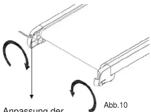 Anpassung der Abb.10