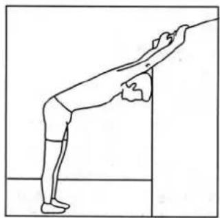 Bremshey Orbit Fit 4182b - Stretching the back muscles - 1