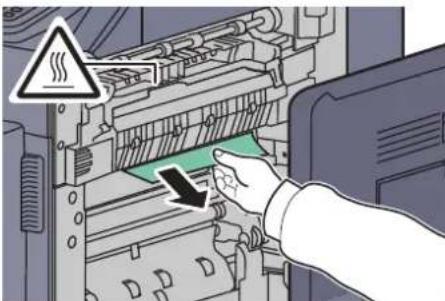 Utax 3555i - Duplex unit - 2