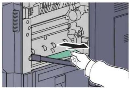 Utax 3555i - Fixing unit - 3