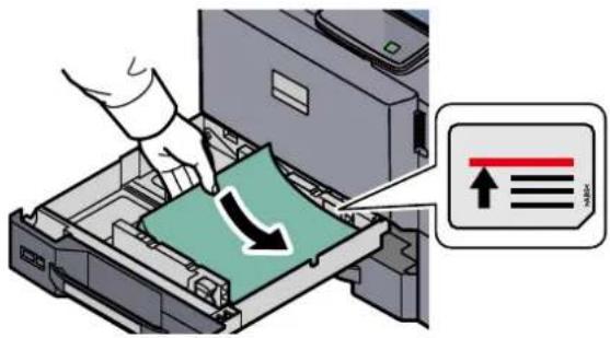 Utax 3555i - Load paper. - 1
