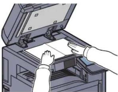 Utax 3555i - Place the originals. - 2