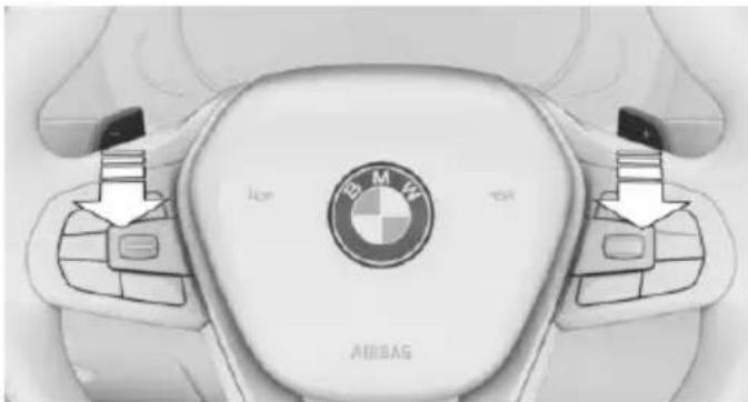 BMW 750Li xDrive (2015) - Shift paddles - 1