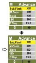 NISSIN Di866 Professional (Nikon) - How to find SD or SF? - 1