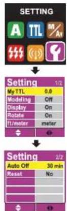 NISSIN Di866 Professional (Nikon) - Modeling Illuminating the subject to find its lighting efficiency. - 1