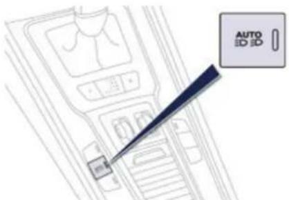 AUTO ID ID