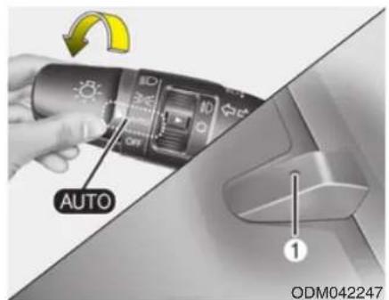 AUTO ODM042247