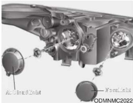 Accidentlight Ferrulelight ODMNMC2022