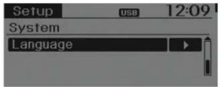 Setup USB 12:09 System Language