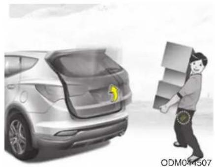 HYUNDAI Sante Fe (2015) - Smart Key Heckklappe (ausstattungsabhängig) - 1