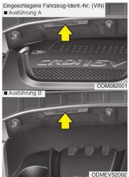 Eingeschlagene Fahrzeug-Ident.-Nr. (VIN) ■ Ausführung A CRD15V ODM082001 ■ Ausführung B CRD15V ODMEVS2002