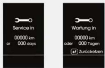 Service in 00000 km or 000 days Wartung in 00000 km oder 000 Tagen Zurücketzen