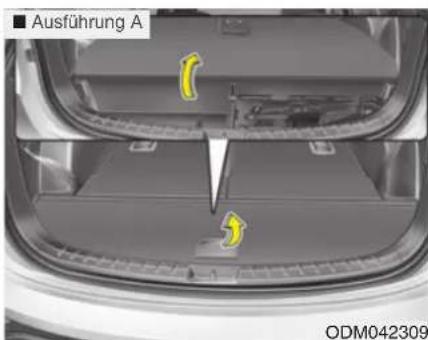 Ausführung A ODM042309