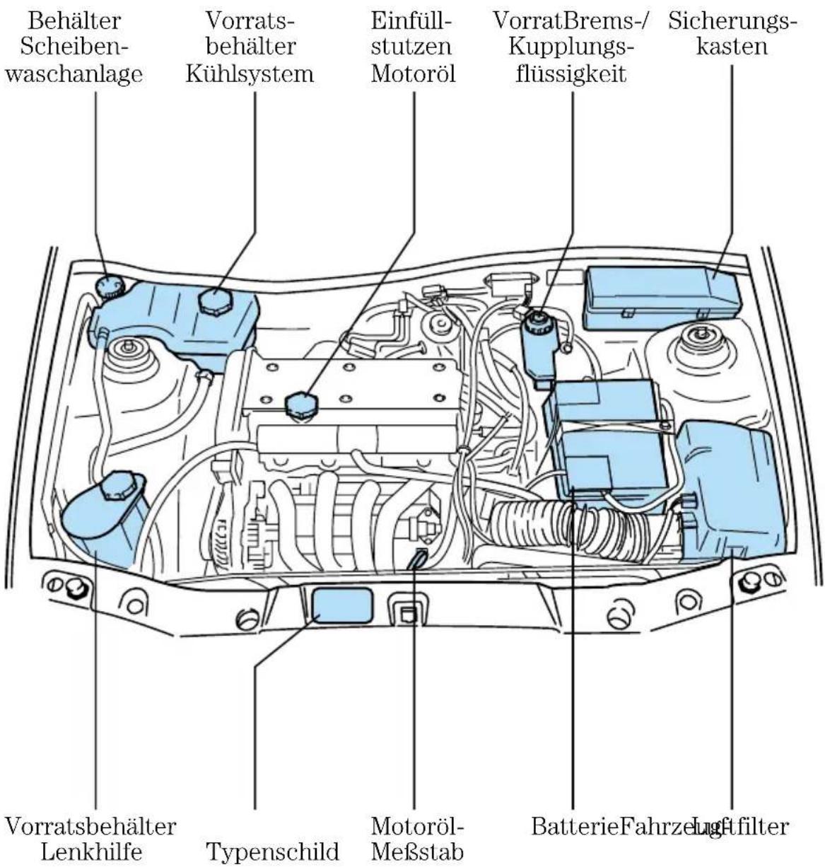 FORD Fiesta (1997) - Motorhaube öffnen - 2