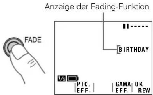 Anzeige der Fading-Funktion FADE BIRTHDAY 1/5 PIC. | GAMA QK EFF. | EFF. REW