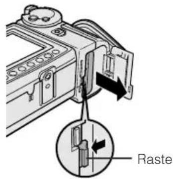 Raste