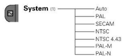 System (1) Auto PAL SECAM NTSC NTSC 4.43 PAL-M PAL-N