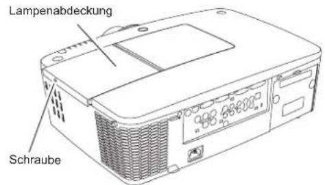 Lampenabdeckung Schraube