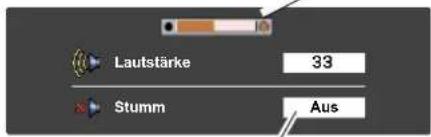 Lautstärke 33 Stumm Aus