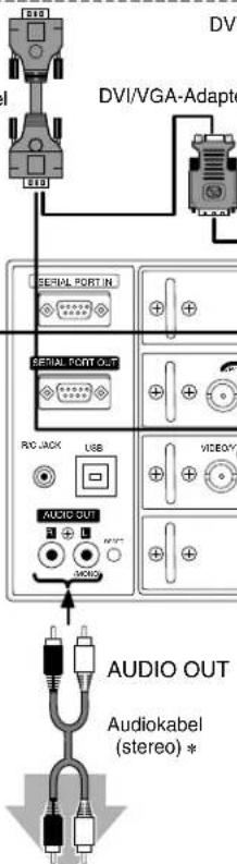 DVI DVI/VGA-Adapte SERIAL PORT IN SERIAL PORT OUT RC JACK USB AUDIO OUT AUDIO OUT Audiokabel (stereo) *