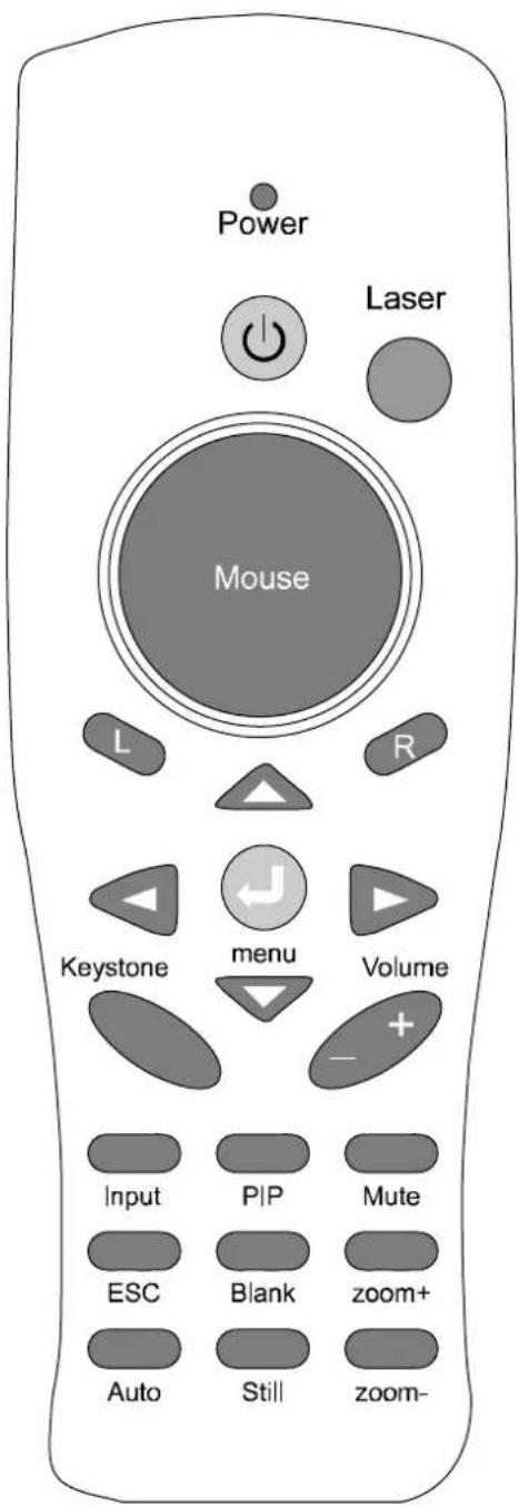 Kindermann KX 2955 - Punkttaste - 1