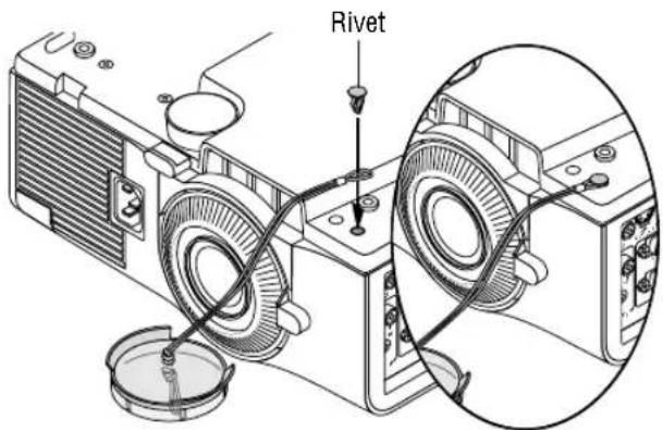 Rivet