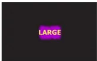 LARGE