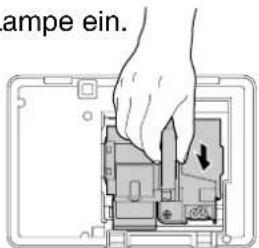 ampe ein.