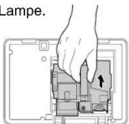 Lampe.