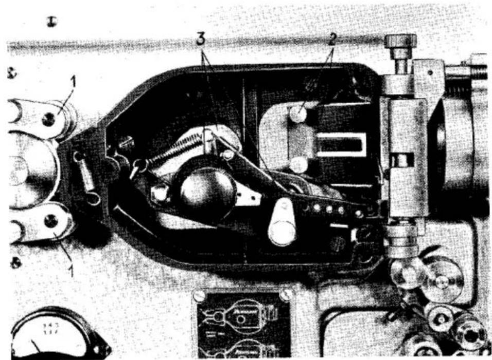 BAUER Pantason M - Ölen - 1