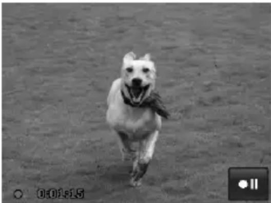 MEDION Life X43014 (MD 86408) - Videoclips aufnehmen - 1
