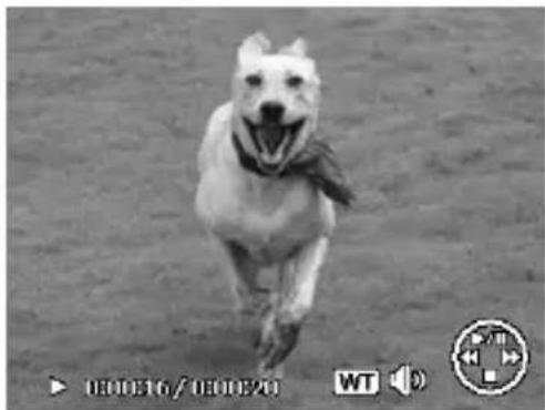 MEDION Life P43018 (MD 86358) - Video- / Audioclips / Sprachnotizen wiedergeben - 1
