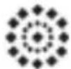 MEDION Life P43018 (MD 86358) - Aufnahmemodus - 9