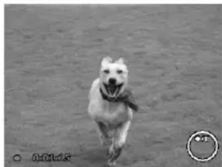 MEDION Life P43018 (MD 86358) - Videoclips aufnehmen - 1