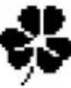 MEDION Life P43018 (MD 86358) - Aufnahmemodus - 20