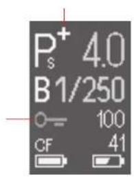 P⁺ 4.0 B1/250 CF 100 41